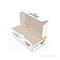 กล่องอาหารทะเล S แบบ กล่องอาหาร